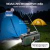 Emergency Radio Waterproof Bluetooth Speaker,Portable Digital AM FM Radio with 2000mAH Cell Phone Charger,Flashlight,Hand Crank NOAA Weather Radio with Solar Panel,Emergency Survival Kit (Deep Green) view 2