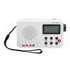 Wisoqu AM FM SW Radio, Portable Digital Tuner with LCD Display, Earphone Jack, Small Radio for Home Travel, Wrist Strap, 5W Speaker, Telescopic Antenna view 1