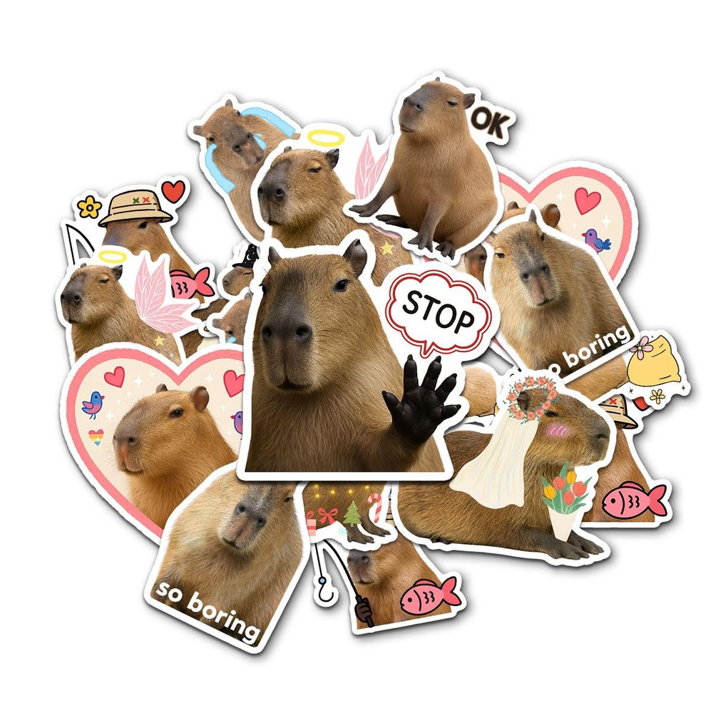 10 Pcs Capybara Stickers Pack  Funny Meme Animal Vinyl Decals for Laptop, Water Bottle, Scrapbook, Cute Capybara Aesthetic Sticker Set, Kawaii Animal Lover Gift