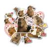 10 Pcs Capybara Stickers Pack  Funny Meme Animal Vinyl Decals for Laptop, Water Bottle, Scrapbook, Cute Capybara Aesthetic Sticker Set, Kawaii Animal Lover Gift view 1