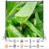 12X8ft Fabric Green Aloe Vera Plant Close-Up Design Photography Backdrop, High Resolution Nature Professional Background for Wedding, Party, Product, Video Shooting view 2