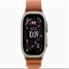 Apple Watch Ultra 3 [GPS + Cellular, 49mm] Natural Titanium Case with Terra Cotta Alpine Loop, Medium (Renewed) view 2