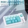 GOWENIC Mechanical Number Pad, 12 Programmable Buttons, 12 RGB LED Backlights, Anti Key Conflict dDesign, Customizable Hot Swap Buttons (Green) view 3