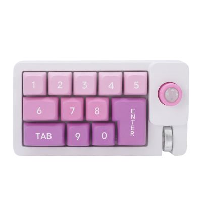 GOWENIC Mechanical Number Pad, 12 Programmable Buttons, 12 RGB LED Backlights, Anti Key Conflict dDesign, Customizable Hot Swap Buttons (Purple)