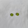 Green Glass Optical Filter view 3