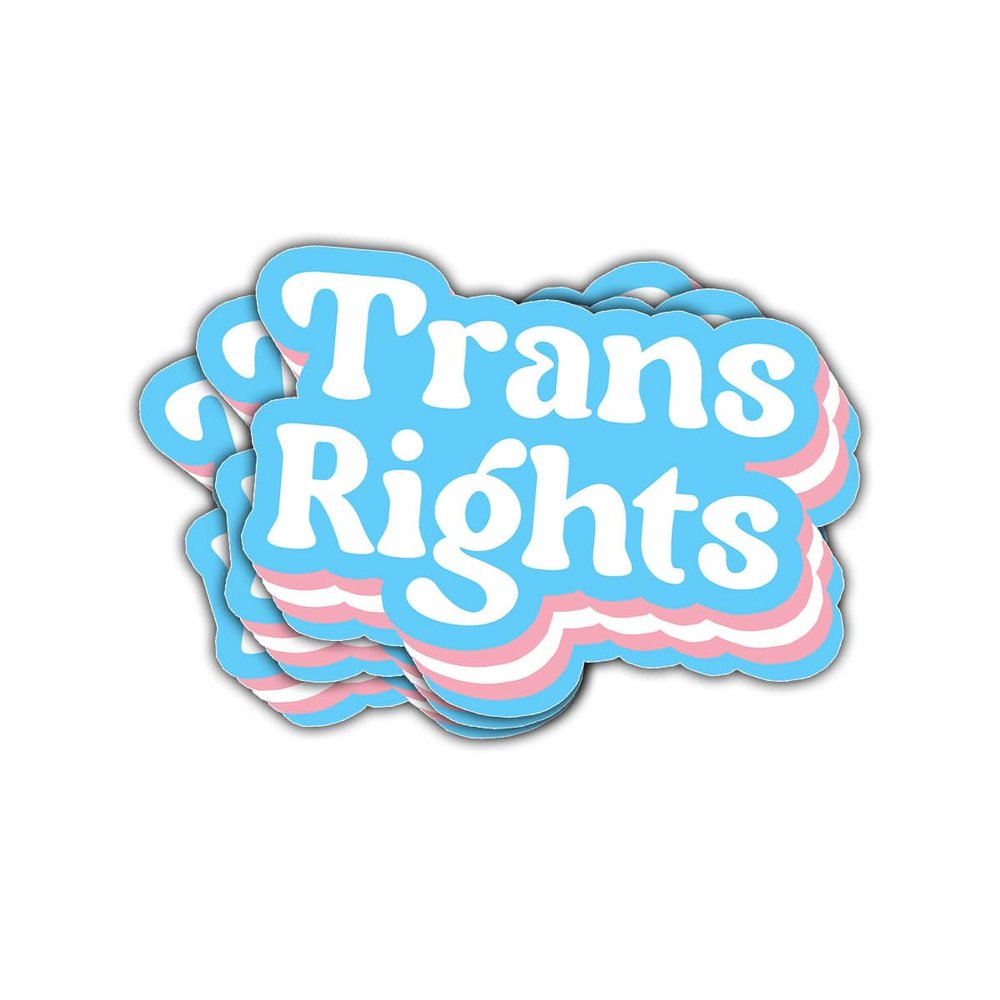 3 Pcs Trans Rights Sticker Bold Blue and Pink Quote Vinyl Decal for LGBTQ+ Allies, Parents, Teachers, Activists, Students, Social Justice Workers, Laptop, Notebook, Hydroflask, Car Window 3 Inches