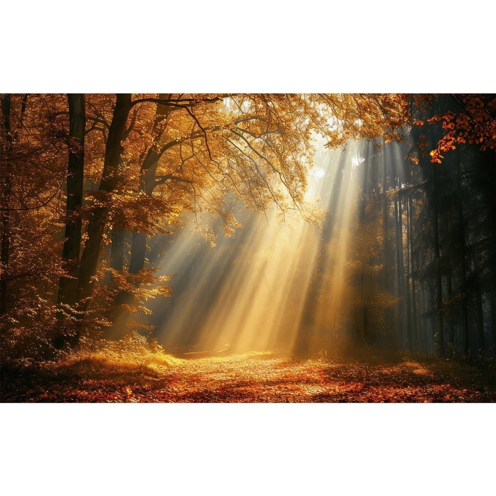 Autumn Forest Aquarium Background Magical Woodland Scene Sunlight Golden Leaves Fish Tank Background Morning Autumn Park Alley Fallen Leaves Sunbeams Reptile Tank Terrarium Backgrounds 36x18in