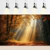 Autumn Forest Aquarium Background Magical Woodland Scene Sunlight Golden Leaves Fish Tank Background Morning Autumn Park Alley Fallen Leaves Sunbeams Reptile Tank Terrarium Backgrounds 36x18in view 2