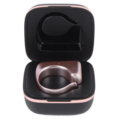 LAISANIM Tornero Chamber Page, Electron Model for Practical Photographs (Rose Pink)