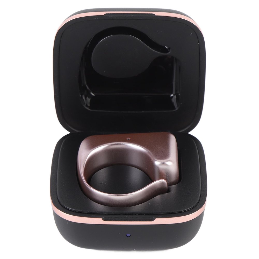LAISANIM Tornero Chamber Page, Electron Model for Practical Photographs (Rose Pink)