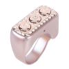 LAISANIM Tornero Chamber Page, Electron Model for Practical Photographs (Rose Pink) view 4
