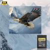 AirShark CFA 4.0 CFexpress high-Speed Memory Card, 256GB, high-Speed 1700MB/s Read 1600MB/s Write, Compatible with 4K/8K, Supports Full Format Recording view 3