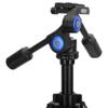 Dual Handle 3D Ballhead, Load Bearing Hydraulic Damping Tripod Ballhead, Panorama Ballhead with 80mm Quick Release Plate, 360 Degree Horizontal Scale, Aluminium view 2