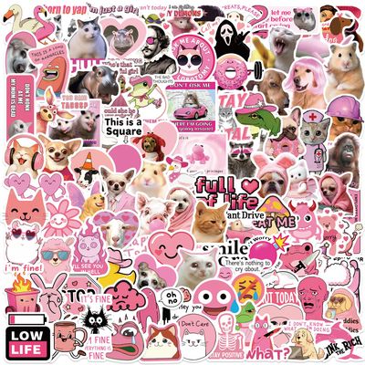 110 PCS Pink Meme Stickers for Adults & Women, Pink Funny Waterproof Stickers for Water Bottles Laptop Scrapbooking Computer Cars Hard Hat, DIY Dcor for Bumper Accesory
