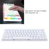 PUSOKEI 68 Key Mechanical Keyboard, RGB Backlight Blue Switch Compact 60% Wired Gaming Keyboard with Ergonomic Design, for PC Laptop Wins OS X (White) view 2