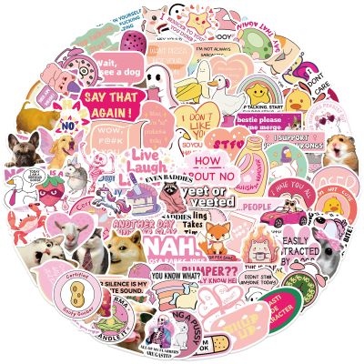 100PCS Pink Meme Stickers for Adults & Women, Pink Funny Waterproof Stickers for Water Bottles Laptop Scrapbooking Computer Cars Hard Hat, DIY Dcor for Bumper Accesory (MEMEpink)