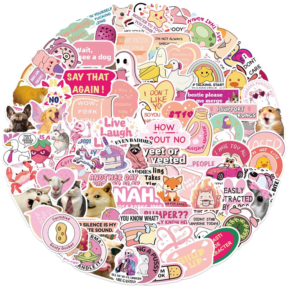 100PCS Pink Meme Stickers for Adults & Women, Pink Funny Waterproof Stickers for Water Bottles Laptop Scrapbooking Computer Cars Hard Hat, DIY Dcor for Bumper Accesory (MEMEpink)