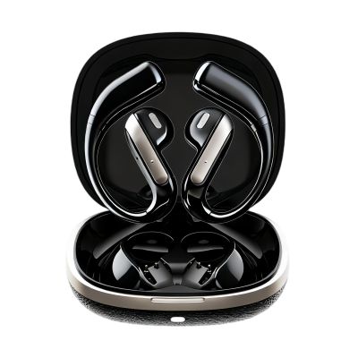 Lryusca Translation Earbuds Real Time AI-Powered 164+ Language, 3-in-1 Translator for Travel, Business, and Study, Wireless Noise Cancelling, Portable Design (Black)
