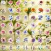 100 Pcs Flowers Stickers Packs, Glitter Holo Holographic Floral Sticker Waterproof Vinyl Stickers Decal for Girl Women Water Bottles Laptop Computer Phone Scrapbooking Skateboard Journaling Luggage view 2