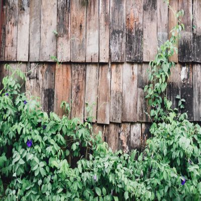 10X5ft Fabric Rustic Wooden Fence Photography Backdrop, Weathered Wood Panels with Green Climbing Vines, Purple Flowers, Natural Garden Background for Studio, Home Decor