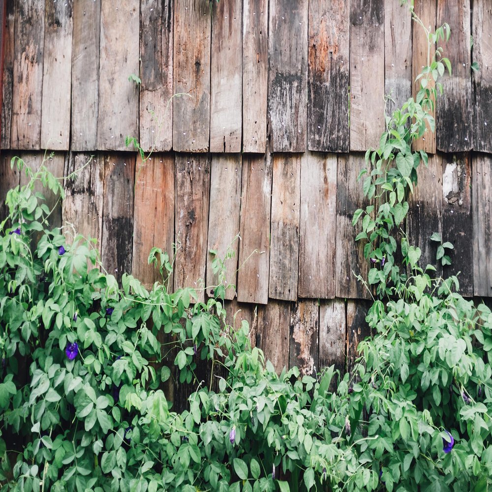 10X5ft Fabric Rustic Wooden Fence Photography Backdrop, Weathered Wood Panels with Green Climbing Vines, Purple Flowers, Natural Garden Background for Studio, Home Decor