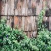 10X5ft Fabric Rustic Wooden Fence Photography Backdrop, Weathered Wood Panels with Green Climbing Vines, Purple Flowers, Natural Garden Background for Studio, Home Decor view 1