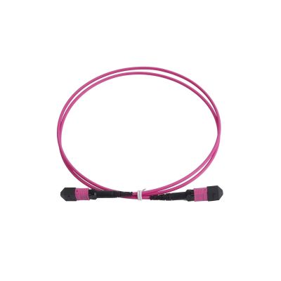 100G MPO OM4 Fiber Patch Wire Multimode 12Cores UPC Female to Female Type B Flat Angle 1/3/5/10/15/20M Optical Cable(3M)