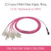 1PCS 10G Multimode 12-Core MPO to 12SC OM4 Fiber Extension Cable 1M/3M/5M/10M/15M/20M Fiber Optic Patch Cord(1M) view 2