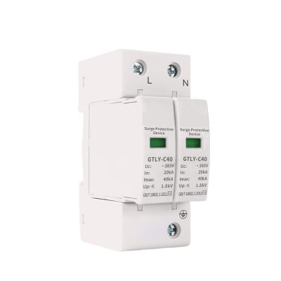 2P AC SPD Surge Protective Device 40KA 60KA 220V 385V House Lightning Surge Protector Solar Low-Voltage Arrester Device(220V 30-60KA)