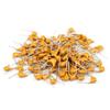 1000Pcs 50V Monolithic Ceramic Capacitor 10pF~10uF (100~106) 10PF 20PF 22PF 100PF 1NF 2.2NF 6.8NF 680NF 1UF 10UF 10%(0.22uF(224) 1000Pcs) view 2