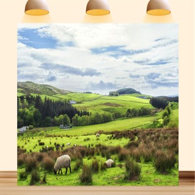10X5ft Fabric Irish Countryside Photography Backdrop, Rural Landscape with Rolling Hills, Grazing Sheep, Green Meadows, Nature Scene Background, for Studio, Party, Professional Photos
