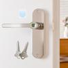 Blusafe Breeze Fingerprint Door Lock Door Knob Keyless Entry Door Lock with Handle for Home Hotel Office Apartment Bedroom (Breeze Long PlateSatin Chrome) view 1