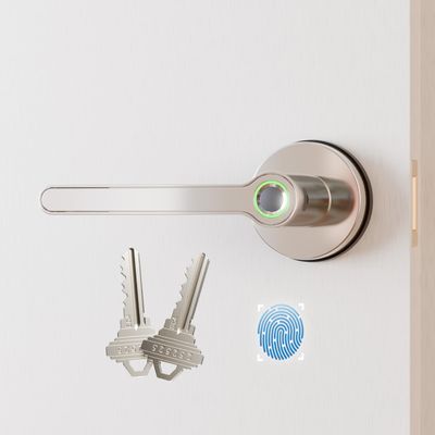 Blusafe Breeze Fingerprint Door Lock Door Knob Keyless Entry Door Lock with Handle for Home Hotel Office Apartment Bedroom (Breeze Rose Satin Chrome)