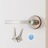 Blusafe Breeze Fingerprint Door Lock Door Knob Keyless Entry Door Lock with Handle for Home Hotel Office Apartment Bedroom (Breeze Rose Satin Chrome) view 1