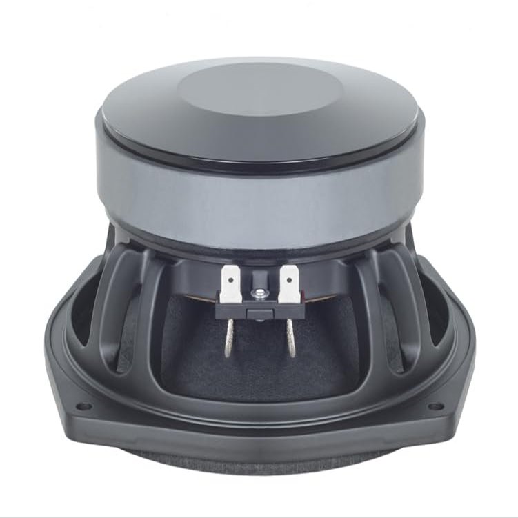 B&C Speakers 6PS38 6.5-inch Woofer Cone WP Waterproof Front Side LF Drivers Audio Speaker 1.5 in Aluminium Voice Coil 150 Wrms 300 Watts Peak 8 Ohm