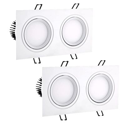 2-Pack Gimbal Eyeball Recessed Lights Double Head Canless Downlight 10W-60W High Brightness Retrofit Panel Light Disk Light 4000K(B,60W) (B 40W)