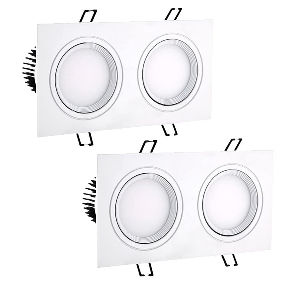 2-Pack Gimbal Eyeball Recessed Lights Double Head Canless Downlight 10W-60W High Brightness Retrofit Panel Light Disk Light 4000K(B,60W) (B 40W)
