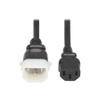 Eaton Tripp Lite Series PDU Power Cord, C13 to P-Lock C14 - North America and Europe Rated, 10A, 250V, 18 AWG, 4 ft. (1.2 m), Black - For PDU, Computer, Monitor, HDTV, Printer, Server, UPS, Network De view 1