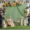 10ft x 8ft Photo Backdrop Curtains Sage Green Wrinkle-Free Polyester Fabric Backdrop Drapes for Wedding Baby Shower Birthday Party Photography Background Decoration view 4