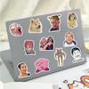 100PCS Funny Holographic Stickers Pack, Waterproof Vinyl Meme Stickers for Laptop, Water Bottle, Phone, Kindle, Journal, Scrapbook, Bumper, Skateboard, Luggage view 2