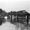 Gen Z Campus Set  Pincary 35 mm Black and White Film for Street Photography, Film 35mm Roll, Scan Friendly Flow, Forgiving Latitude, 35mm Film Camera Ready; ISO 100 SHD100, DX 24x36mm, 36EXP view 3