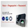 3 in 1 Face Recognition Attendance Machine Office Employee Sign-in Apparatus Password Fingerprint Punch-in Electronic Device with Multi-Language view 2