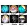 ERoomQ Biological Microscope Adult Microscope can be Connected to Mobile Phone Eyepiece view 2