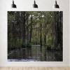 15x8ft Swamp Landscape Backdrop, Natural Bayou Forest Scene Photography Background for Studio Portraits Forest Party Decorations Photoshoot Studio Props Fabric view 1