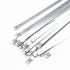 100pcs 4.6x600mm 4.6 * 600mm 4.6mmx600mm Latching Self-Locking Stainless Steel Zip Cable Tie Lock Tie Wrap cable ties(SS316) view 2