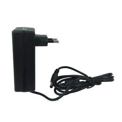 Power Adapter DC12v 4A DC 24v 2a(EU Plug,12V4A 48W)
