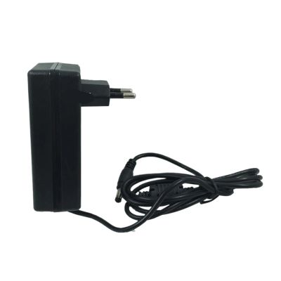 DC36V/48V 1A AC/DC Power Adapter(EU Plug,36V1A)