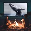 60 Inch 16:9 HD 4K Portable Foldable Projection Screen, Wrinkle-Free Movie Screen Support Dou-ble Sided Projection for Home Cinema, Garden Party(60 Inch 16:9) view 3