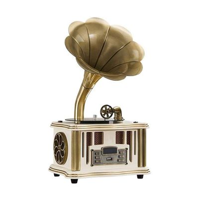 EHVYBDX Record Players, Music Box Phonograph Turntable Wireless Speaker, with Aux-in, FM Radio, USB Port for Flash Drive, G
