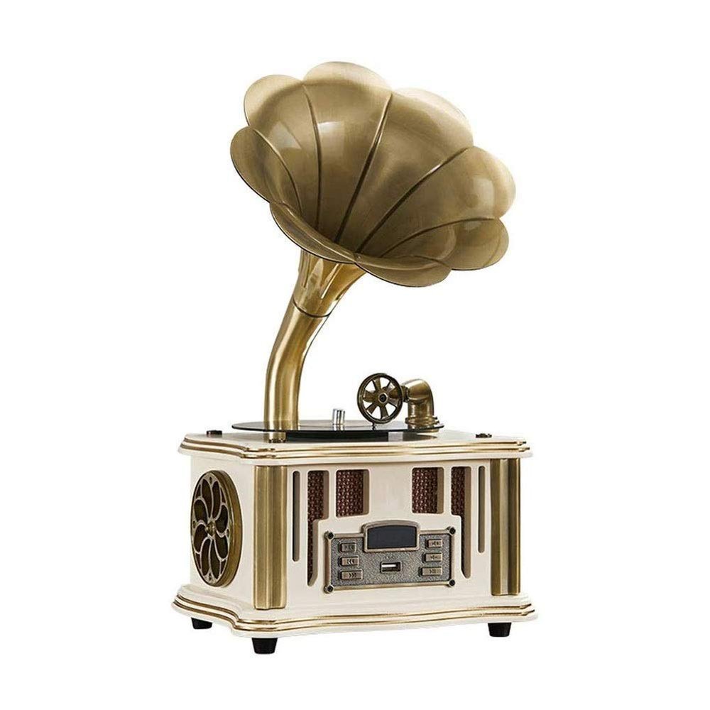 EHVYBDX Record Players, Music Box Phonograph Turntable Wireless Speaker, with Aux-in, FM Radio, USB Port for Flash Drive, G